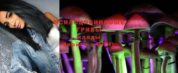 ALPHA-PVP Алексеевка
