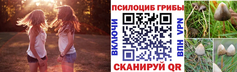 KRAKEN вход  Солигалич  Псилоцибиновые грибы Cubensis  где можно купить  